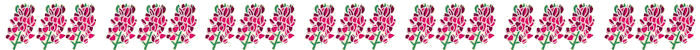 Austin Area Quilt Guild